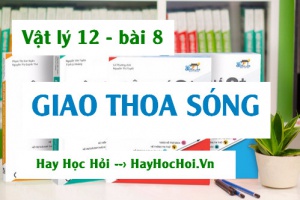 Giao thoa Sóng, hiện tượng Giao thoa Sóng nước, điểm Cực đại, Cực tiểu trong giao thoa - Vật lý 12 bài 8